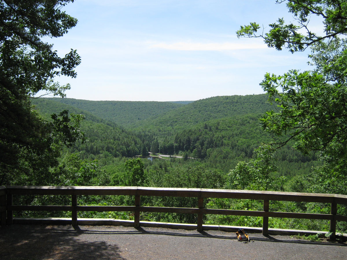 Overlook Vista R.B. Winter State Park