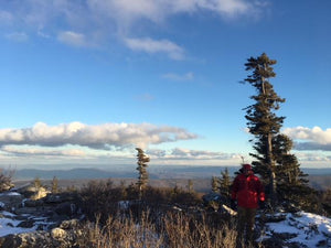 Dolly Sods West Virginia: Photo Credit Purple Lizard Maps