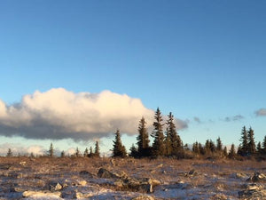 Dolly Sods West Virginia View: Photo credit Purple Lizard Maps