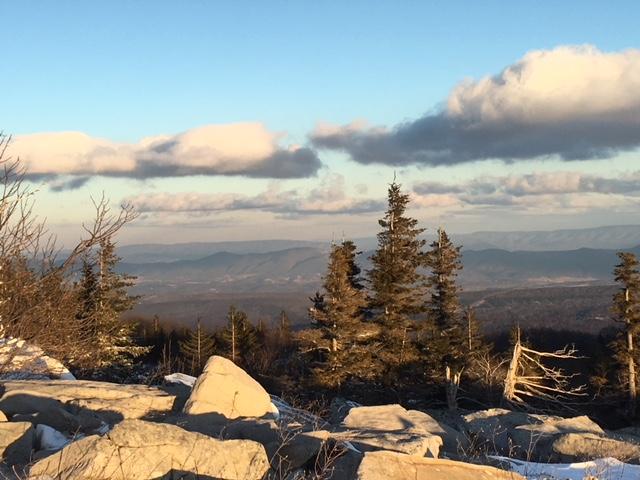 Dolly Sods-Seneca Rocks Lizard Map: West Virginia