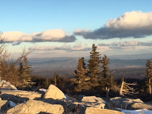 Dolly Sods-Seneca Rocks Lizard Map: West Virginia