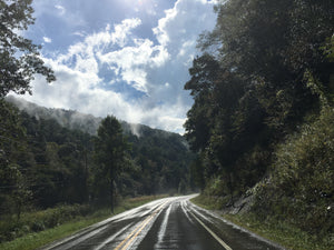 The Road to Elkins- Otter Creek West Virginia: Credit Purple Lizard Maps