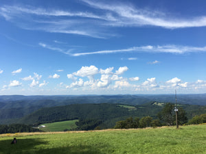 Elkins Otter Creek West Virginia View: Credit Purple Lizard Maps