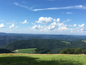 Elkins Otter Creek West Virginia View: Credit Purple Lizard Maps