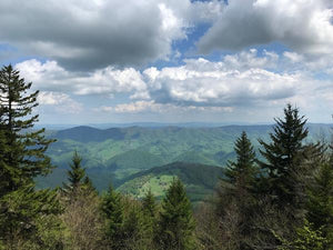 Dolly Sods - Seneca Rocks West Virginia View: Photo credit Purple Lizard Maps