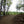 Rothrock State Forest Colyer Lake View photo by Purple Lizard Maps