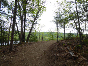 Rothrock State Forest Colyer Lake View photo by Purple Lizard Maps