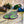 Purple Lizard Patches