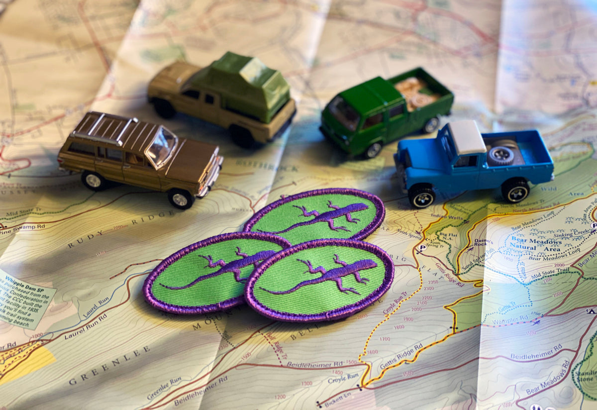 Purple Lizard Patches