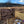 Loyalsock-Worlds End Lizard Map, Pennsylvania