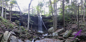 Loyalsock-Worlds End Lizard Map, Pennsylvania