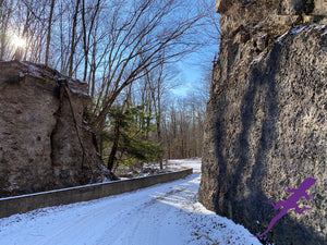 Loyalsock-Worlds End Lizard Map, Pennsylvania