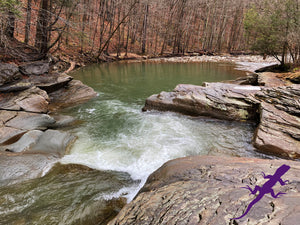 Loyalsock-Worlds End Lizard Map, Pennsylvania