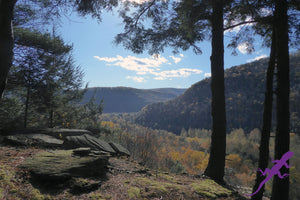 Loyalsock-Worlds End Lizard Map, Pennsylvania