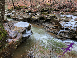 Loyalsock-Worlds End Lizard Map, Pennsylvania