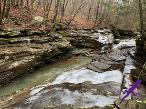 Loyalsock-Worlds End Lizard Map, Pennsylvania