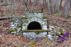 Loyalsock-Worlds End Lizard Map, Pennsylvania