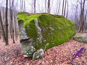 Loyalsock-Worlds End Lizard Map, Pennsylvania