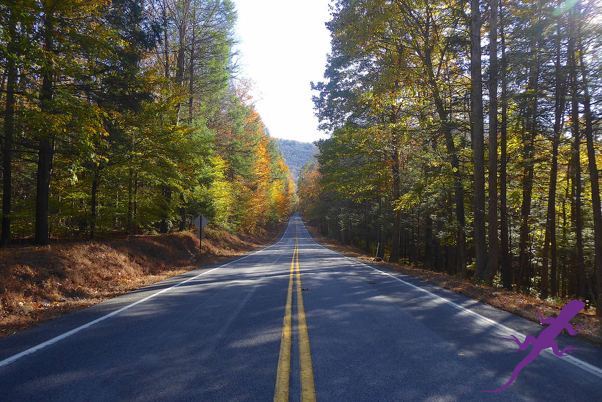 Loyalsock-Worlds End Lizard Map, Pennsylvania