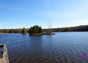 Moshannon-Quehanna Lizard Map, Pennsylvania