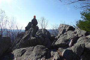 View: Michaux State Forest Pennsylvania Photo by Purple Lizard Maps