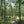 Trail in Michaux State Forest: Photo Purple Lizard Maps