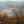 Michaux State Forest View Fall: Purple Lizard Maps