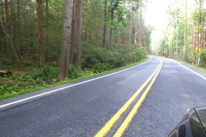 Road to Michaux: Photo Purple Lizard Maps