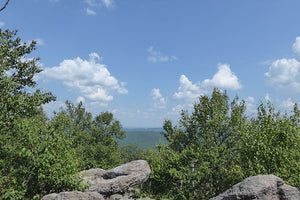 Michaux State Forest View: Purple Lizard Maps photo