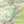Shenandoah National Park Lizard Maps, Virginia