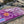 Ohiopyle Laurel Highlands Purple Lizard Recreation Map