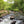 Ohiopyle-Laurel Highlands Lizard Map: Pennsylvania