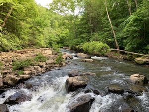 Ohiopyle-Laurel Highlands Lizard Map: Pennsylvania