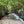 Ohiopyle - Laurel Highlands Photo Purple Lizard Maps