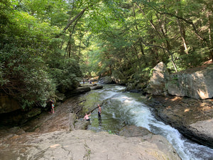 Ohiopyle - Laurel Highlands Photo Purple Lizard Maps