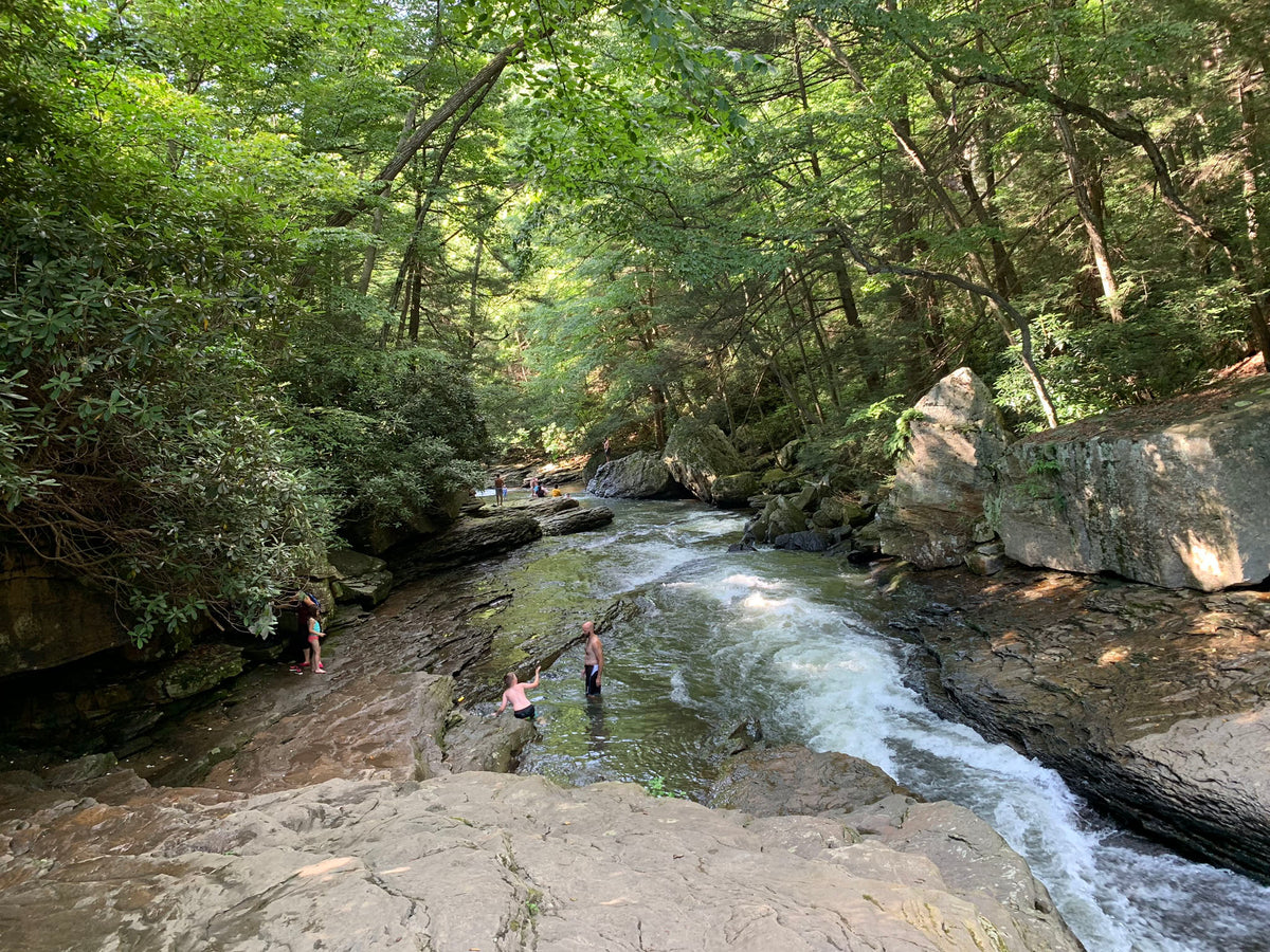 Ohiopyle - Laurel Highlands Photo Purple Lizard Maps