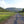 Pine Creek Rail Trail: Pennsylvania Photo Purple Lizard Maps