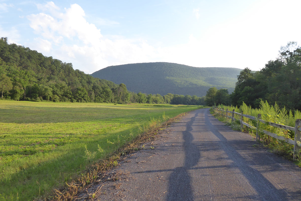 Pine Creek Rail Trail: Pennsylvania Photo Purple Lizard Maps