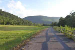 Pine Creek Rail Trail: Pennsylvania Photo Purple Lizard Maps