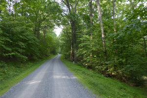 Backroad, Gravel Road, Dirt Road, Rothrock State Forest photo by Purple Lizard Maps