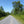 Quehanna Highway Pennsylvania in Summer: Photo Purple Lizard Maps