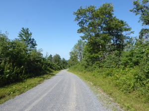 Quehanna Highway Pennsylvania in Summer: Photo Purple Lizard Maps