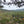 Chimney Rock Penns Creek Wild Area Bad Eagle State Forest