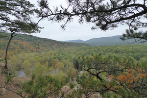 Chimney Rock Penns Creek Wild Area Bad Eagle State Forest