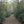 Trail in Rothrock State Forst in Fall. Photo by Purple Lizard Maps