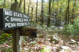 Rothrock Lizard Map, Pennsylvania