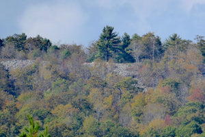 Rothrock Lizard Map, Pennsylvania