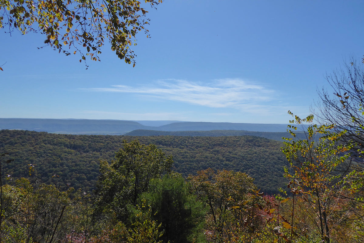 Big Valley Vista Mid State Trail Bald Eagle State Forest