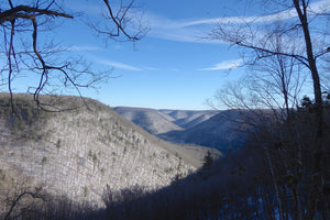 Grand Canyon of Pennsylvania Winter View photo Purple Lizard Maps