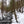 Pine Creek pennsylvania tributary in winter - photo Purple Lizard Maps